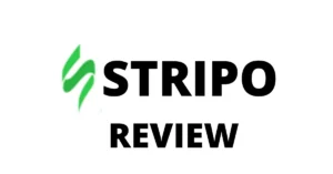 Read more about the article Detailed Stripo Review: Features, Pricing, and User Ratings