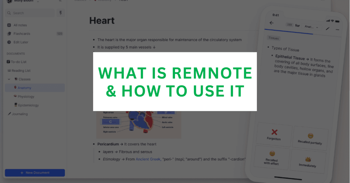 You are currently viewing What is RemNote? Boost Your Note-Taking & Learning Retention